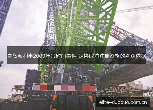 青岛海利丰2009年吊射门事件 足协取消注册资格的判罚依据